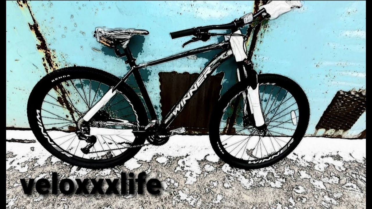 Winner solid vrx 29" модель 2022г 