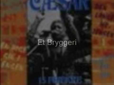 Csar - Et Bryggeri