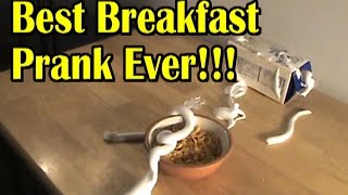 How To Ruin Breakfast With A Prank!!! | Nextraker