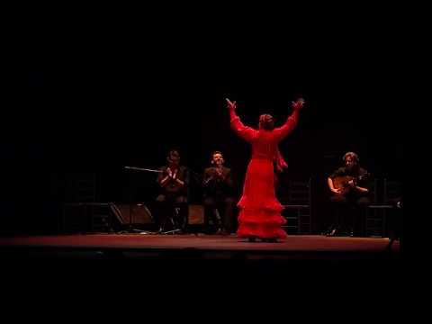 Soleá por bulerías // Margarita Wołyńczyk // Final Concurso Flamenco Puro 2019 camera iphone 8 plus apk