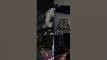 حالات واتس | سورة البقرة | ماهر المعيقلي