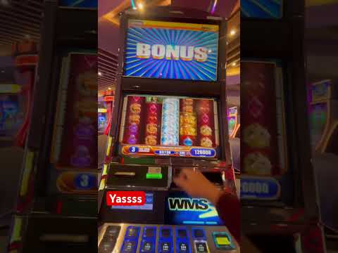 Wowzers $10 bet on the lovely unicorn. #slotscasinogames #gamblinggame #casino #slotmachine #win