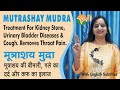 Mutrashay mudra    cures urinary bladder diseases  throat pain    