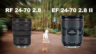 Canon RF 2470 VS EF 2470 II 2.8 // BOKEH, STABILIZATION, FOCUS DISTANCE