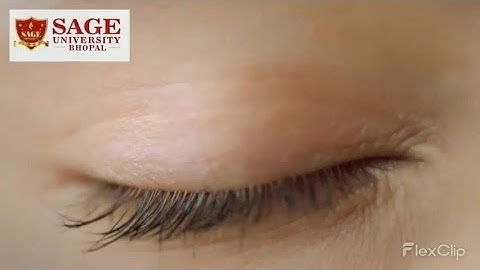 SAGE University, Bhopal in association with Samatrix.io, Gurgaon | Admissions Open 2022