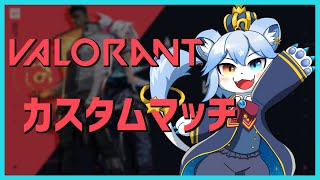 【VALORANT】カスタム会！inコーチングサーバー【ネメア/VTuber】