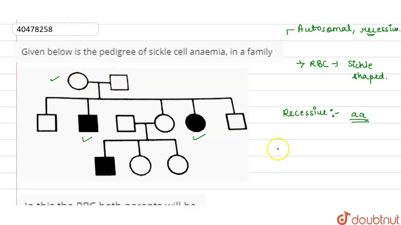 inheritance-sickle-cell-anemia-pedigree-pedigrees-and-analysis-learn