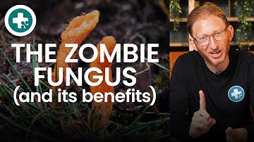 Doctor Explains Cordycepin: Benefits of the Zombie Fungus | Don’t Look Up
