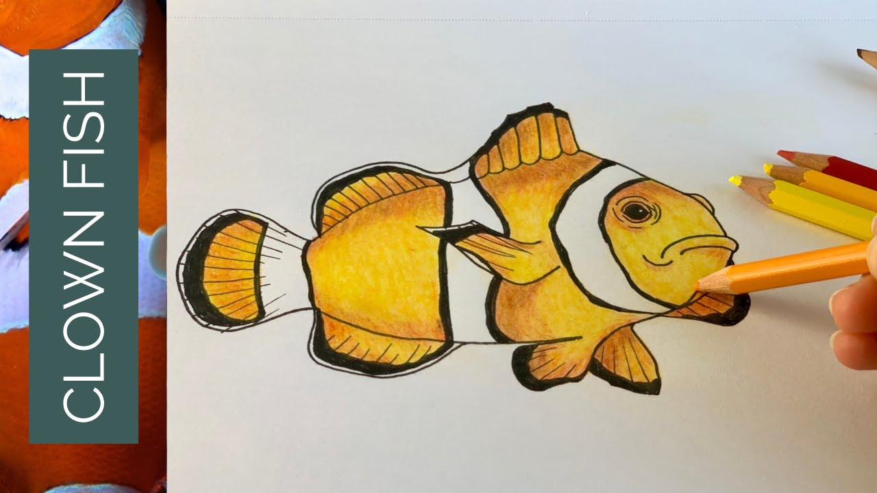 Learn How to Draw a Clownfish Fishes Step by Step  Drawing Tutorials