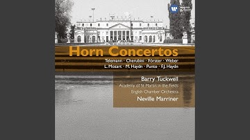 Horn Concerto No. 1 in D Major, Hob. VIId:3: III. Allegro