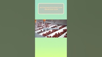 Dates Washing And Drying Processing Line