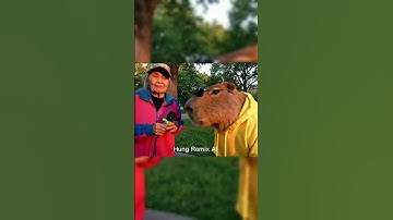 cappyra và bà cụ rapper #capybara #phimhay #funny #hungremixai