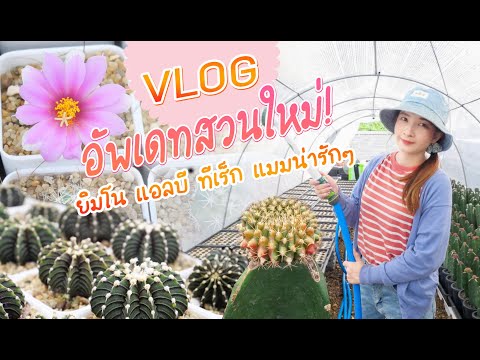 VLOG l พาทัวร์สวนใหม่!  กระบองเพชร.  สวยมาก.  อย่าพลาดมัน  l ใบเฟิร์น150CM