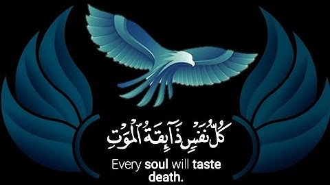 قران كريم | سورة العنكبوت | القارئ يوسف عثمان | تلاوة خاشعة😌❤️ | حالات واتس اب قران