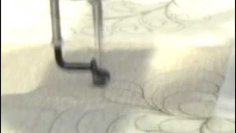 Feathers of a New Generation