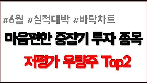 [주식] 6월 저평가 우량주 마음편하게 중장기 투자할 주식추천 top2