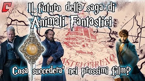 The Future of the Fantastic Beasts Saga - What Will Happen in the Next Films?