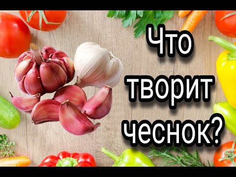 Ешьте Чеснок Каждый День и Смотрите, Что с Вами Случится