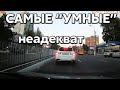 Подборка САМЫХ "УМНЫХ" водителей #637