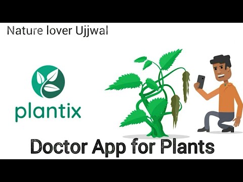 Doctor For your plants, How to use Plantix app, Benefits of Plantix, App for Farmers and Gardeners