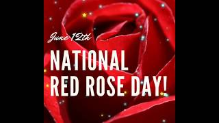 National Red Rose day status 2020||National Rose day wishes, messages, images,WhatsAppStatus screenshot 5