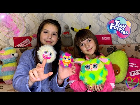 У нас новые питомцы - милые Tiny Furries😍!