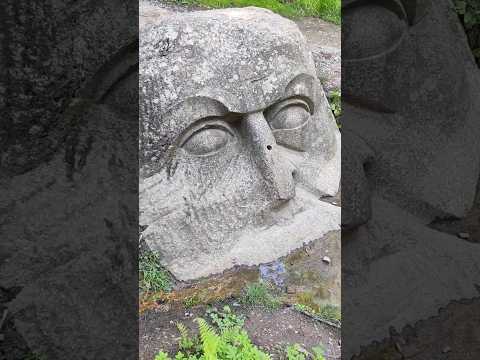 The head of