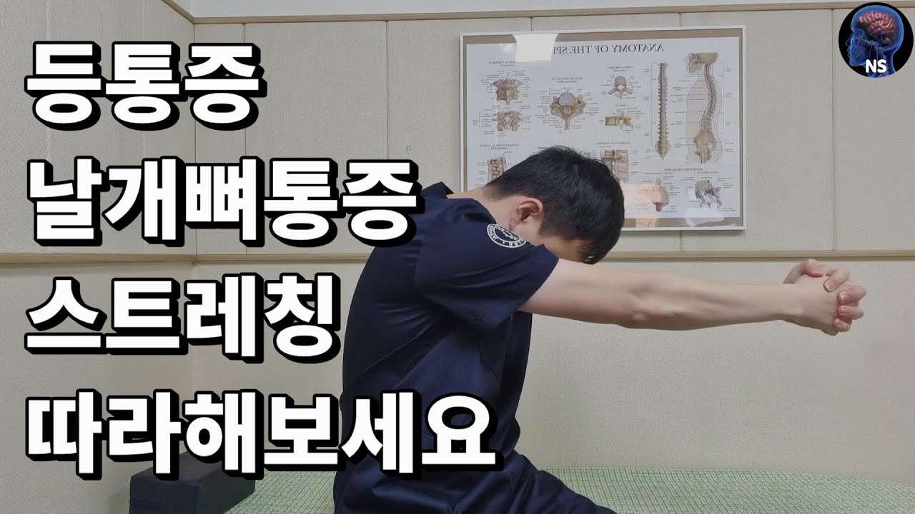 골프치다가 테니스치다가 등아플때, 날개뼈주변 아플때 할 수 있는 운동, 스트레칭 골프치다가 테니스치다가 등아플때, 날개뼈주변 아플때 할 수 있는 운동, 스트레칭