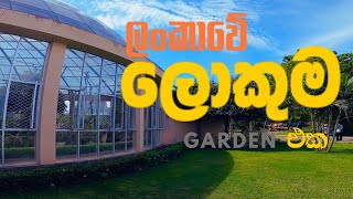 හම්බන්තොට රස්නේ අඩුම තැන | Dry zone botanical garden Hambantota by Travel With Family 187 views 1 month ago 10 minutes, 2 seconds
