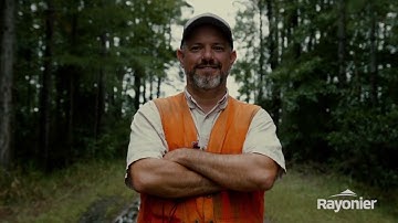 Sustainable Forestry: Forest ecosystems need every stage of the forest lifecycle