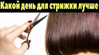 Какой день для стрижки лучше выбрать