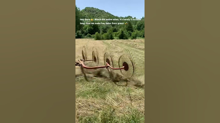 How to make hay bales in 3 simple steps! #shorts #hay #agriculture #tractor #farming