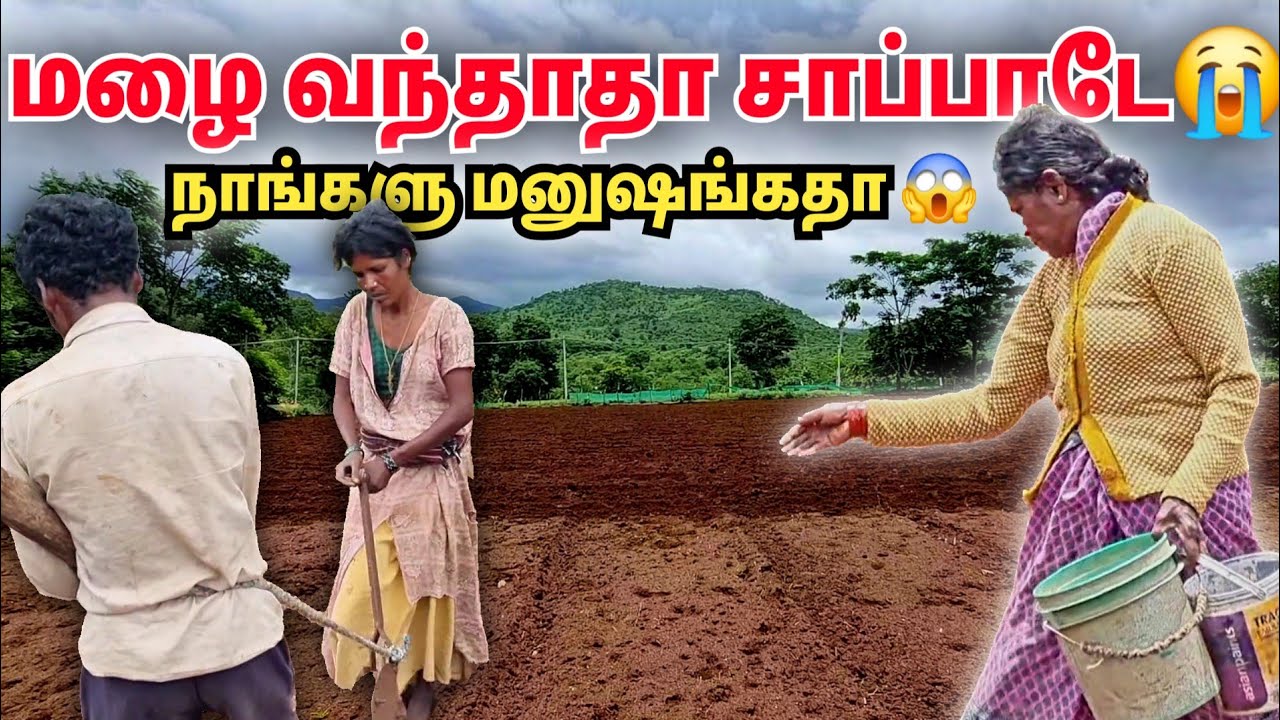 மனிதர்களை விலங்குகளாக பயன்படுத்தும் மலைக்கிராமம் | A pathetic life of tribes and their agriculture