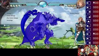 Custom Input Display Test