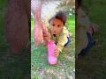 baby feeding puppies#viralvideo #youtubeshorts #islamiccapry#trending