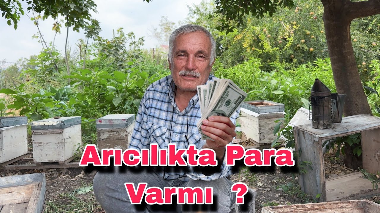 Arıcılık Para kazandıran Bir İşmi ? Merdan Usta Anlattı !!!