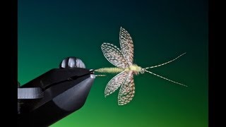 Fly Tying a Wally wing Fluttering Caddis/Sedge with Barry Ord Clarke