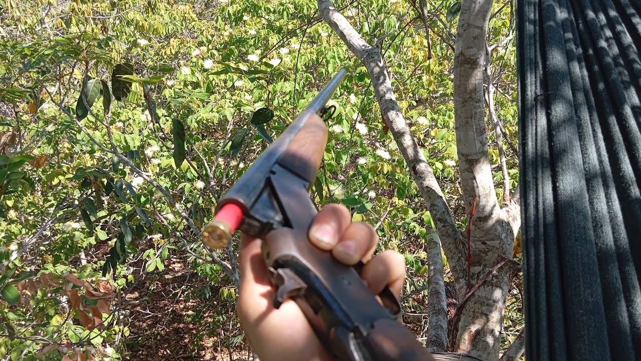 Fui Esperar No Pequizeiro, Tá Moído Dos Veados 🦌