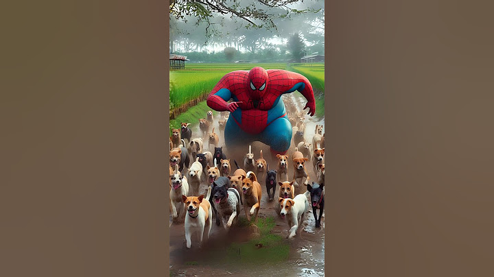 Evolution of Spiderman 🕸️🤔 lots of dogs there #spiderman #marvel #dog