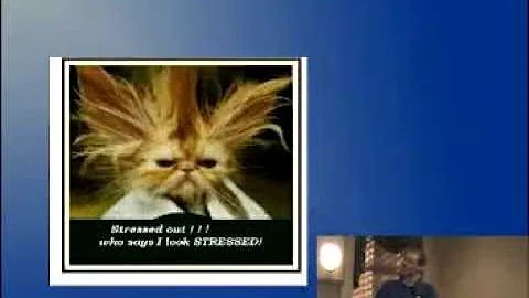 Feline Idiopathic Cystitis Dr. Jon Souders Part V.