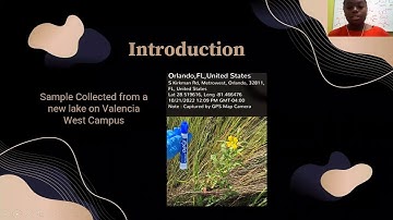 Part 3 of 4 DNA barcoding by sequencing of a plant gene by Destiny Irish