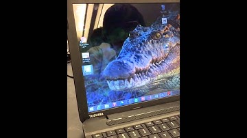 Video Update 1: Electrochemical Bacteria Sensor Team