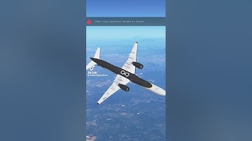 pov: you are a new player in infinite flight