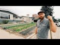 How to Set up a Profitable (backyard) Farm