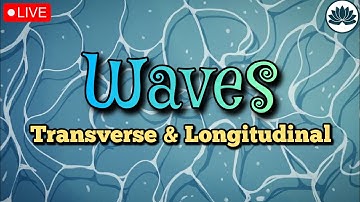 Waves | Transverse And Longitudinal Waves | Chapter 12 | IGCSE/GCE O Level | Physics