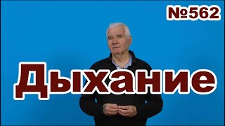 Дыхание в самозащите.