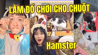 Trần Vy Vy Tập 4 | LÀM ĐỒ CHƠI CHO CHUỘT HAMSTER - CÁC VIDEO HAY NHẤT CỦA TRẦN VY VY PHẦN 10