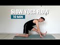 10 MIN DAILY YOGA FLOW | Yoga Flow To Stretch & Feel Good