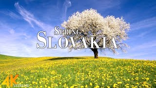 Spring Slovakia 4K Ultra HD • Explore Beautiful Spring Slovakia, Relaxation Film with Calming Music.