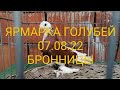 ЯРМАРКА ГОЛУБЕЙ 07. 08. 22 Бронницы